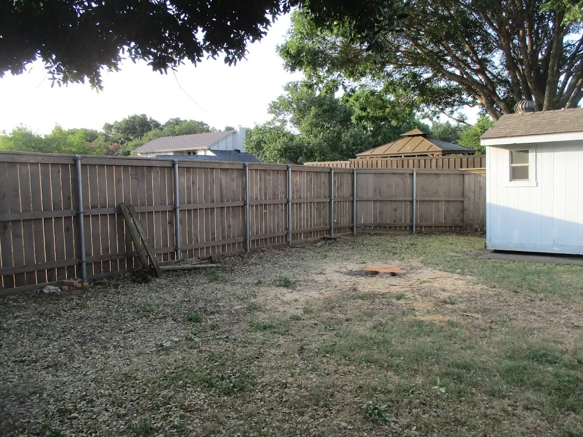 Cleared yard after professional tree removal in Bozeman